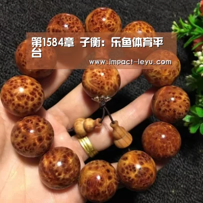 第1584章 子衡:乐鱼体育平台(图2) 乐鱼体育在线
